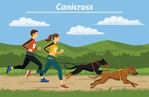 Couple Man And Woman Cani Crossing With Their Dogs In Nature Landscape  Vector Illustration Outdoor Training Exercising Stock Illustration -  Download Image Now - iStock