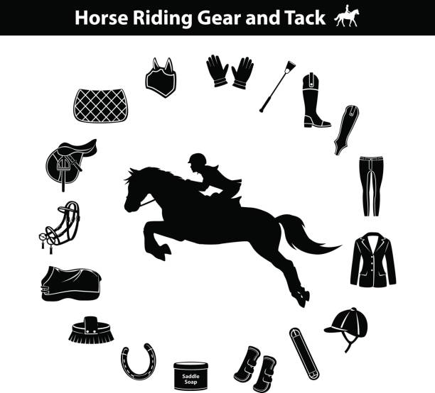 frau reiten pferd silhouette. reitsport equipment icons set - saddle shoes stock-grafiken, -clipart, -cartoons und -symbole