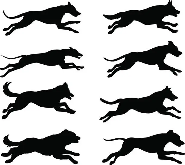 Vector illustration of Running dogs silhouette vector illustration