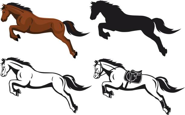 ilustraciones, imágenes clip art, dibujos animados e iconos de stock de salto de caballo en silueta contorno de color - caballo saltando