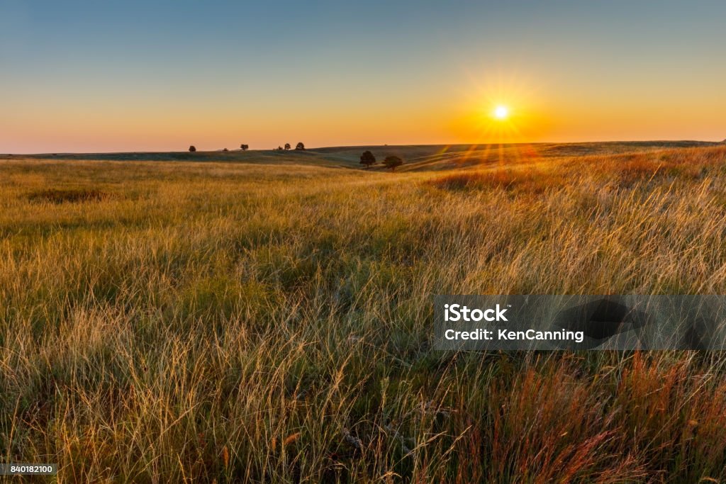 American Great Plains Prairie at Sunrise Great Plains Prairie at Sunrise Prairie Stock Photo