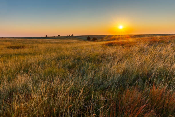 American Great Plains Prairie at Sunrise Great Plains Prairie at Sunrise grass area photos stock pictures, royalty-free photos & images