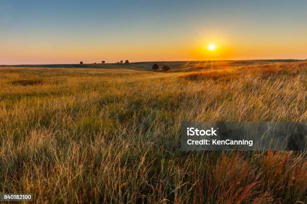 American Great Plains Prairie At Sunrise Stock Photo - Download Image Now - Prairie, Plain, Agricultural Field