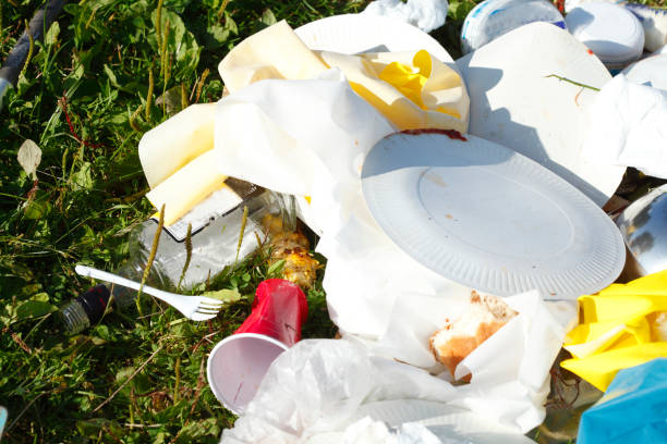 istock Garbage in a meadow after a party 840182126