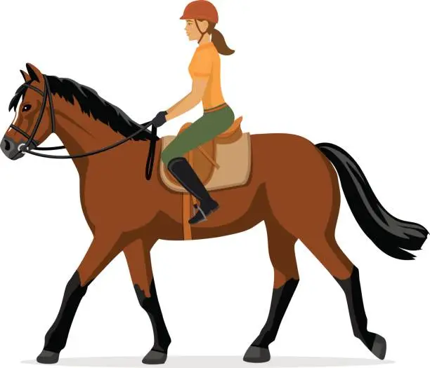 Vector illustration of Woman Horseback Riding. Equestrian Sport. Isolated Vector Illustration