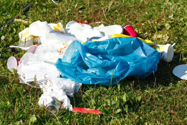 istock Garbage in a meadow after a party 840182134
