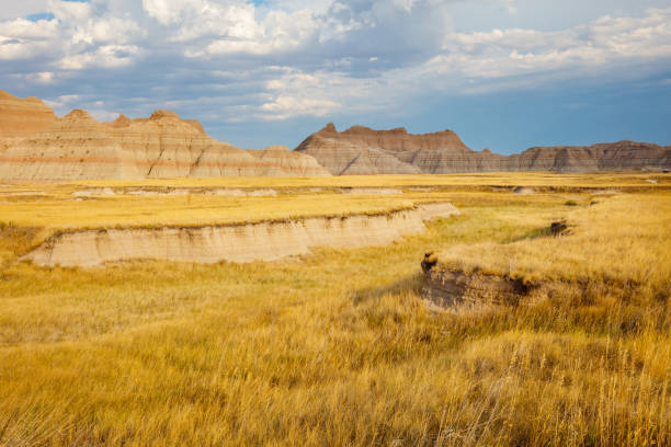 прейри и бадлендс в национальном парке бадлендс - badlands prairie landscape badlands national park стоковые фото и изображения