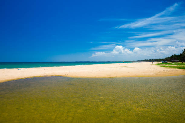 istock tropical beach in Maldives 840187246