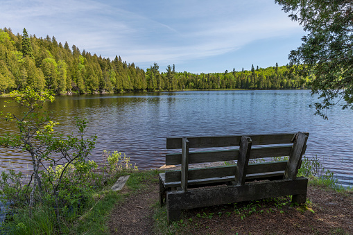 A small scenic lake in summer.