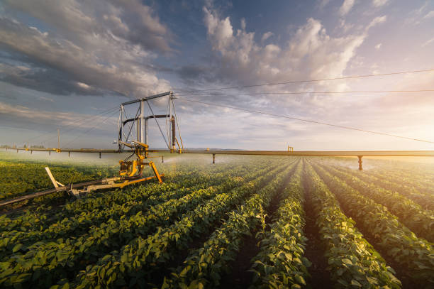 istock Irrigation system watering a crop of soy beans at field 840192666