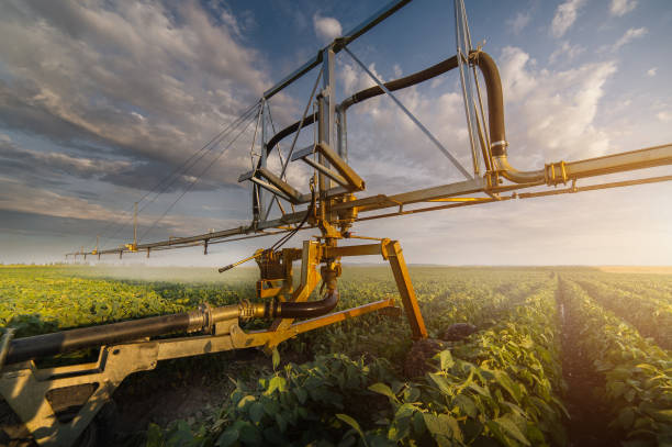 istock Irrigation system watering a crop of soy beans at field 840192672