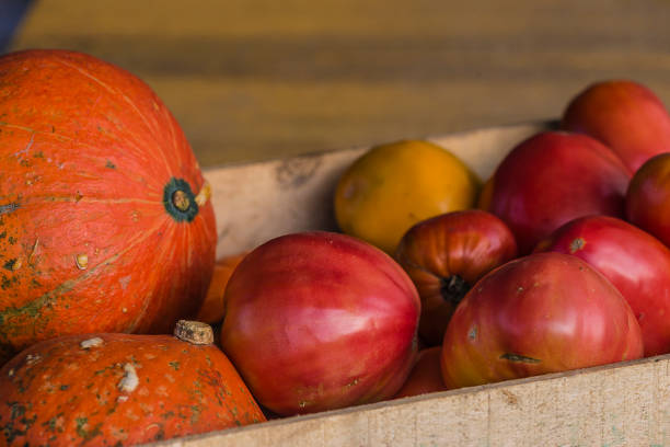 A colourful selection of seasonal pumpkins and gourds