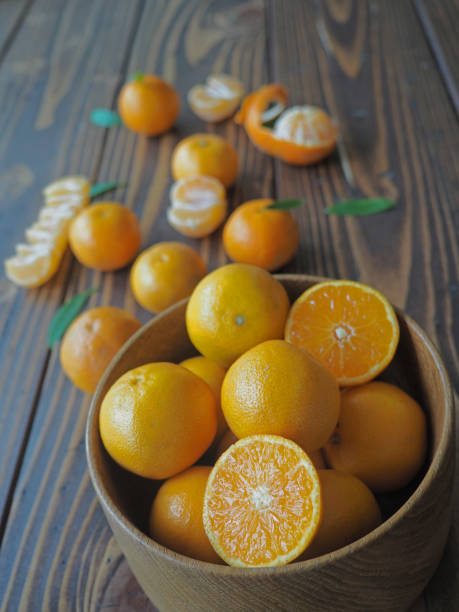 istock Regional Food Backgrounds 840201282