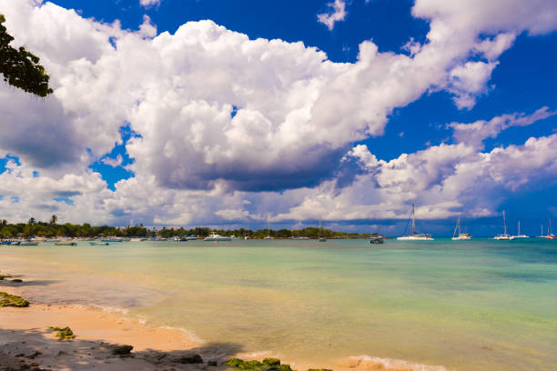 istock View of the bay in Bayahibe 840201466
