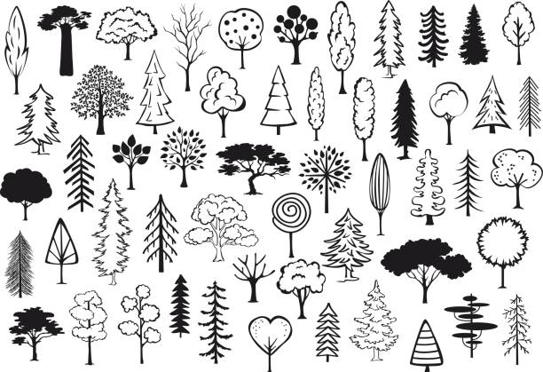 waldpark abstrakte silhouetten skizzierten nadelbäume in schwarzer farbe sammlungssatz doodle - tree environment oak tree symbol stock-grafiken, -clipart, -cartoons und -symbole