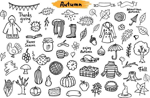 Vector illustration of autumn fall thanksgiving seasonal sketchy silhouetttes objects, grungy doodle set collection in black color
