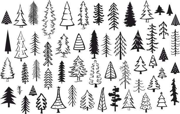 niedliche abstrakte nadelbaum kiefer tanne nadel bäume weihnachtskollektion - immergrüne pflanze stock-grafiken, -clipart, -cartoons und -symbole