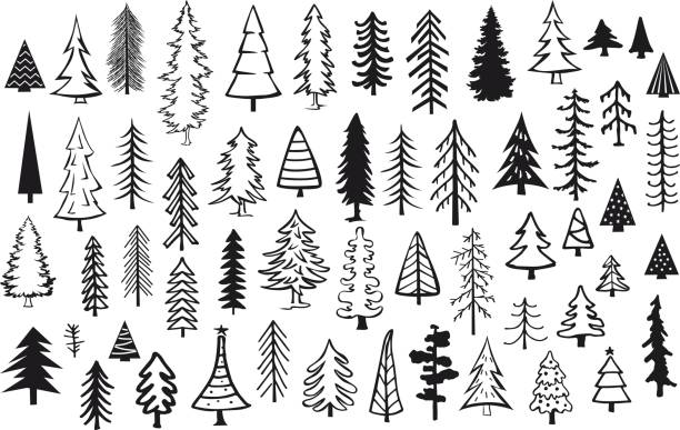 bildbanksillustrationer, clip art samt tecknat material och ikoner med söt abstrakt barrträd tall gran julkollektion nål träd - ädelgran illustrationer