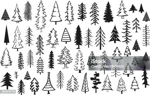 Cute Abstract Conifer Pine Fir Christmas Needle Trees Collection Stock Illustration - Download Image Now