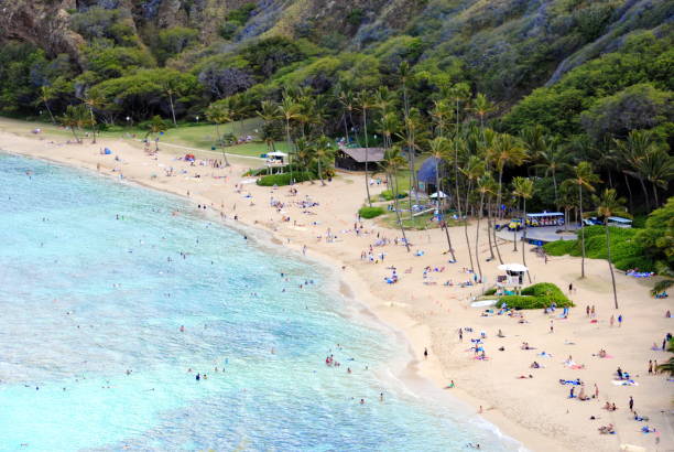 vista panoramica del parco spiaggia di hanauma bay a oahu, hawaii - hanauma bay hawaii islands oahu bay foto e immagini stock