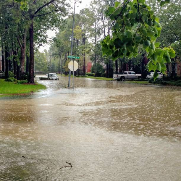 Flooded Suburban Texas Street from Hurricane Harvey stock photo