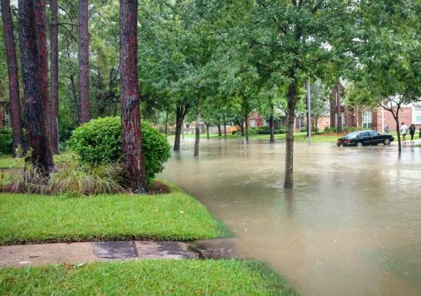 Houston, Texas suburban street flooded by Hurricane Harvey stock photo