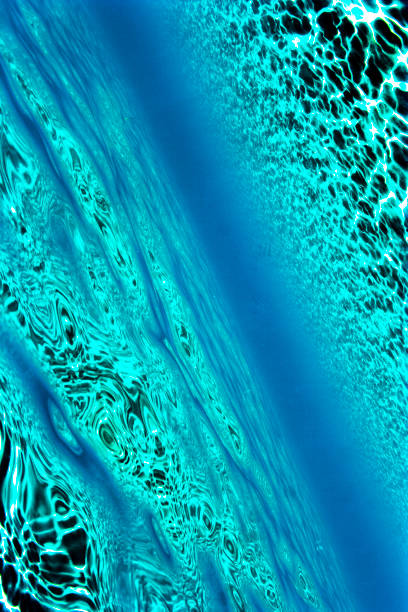 istock Underwater view of Mediterranean shallow waters. 840226874