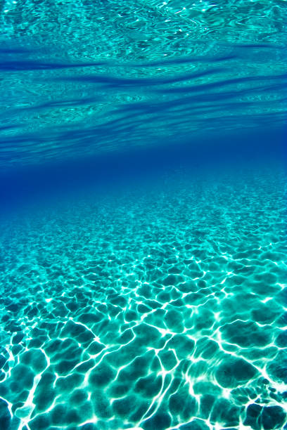 istock Underwater view of Mediterranean shallow waters. 840230110