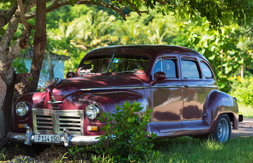 Matanzas: American brown Dodge classic car parked under palms on the side strip in Matanzas Cuba - Serie Cuba Reportage