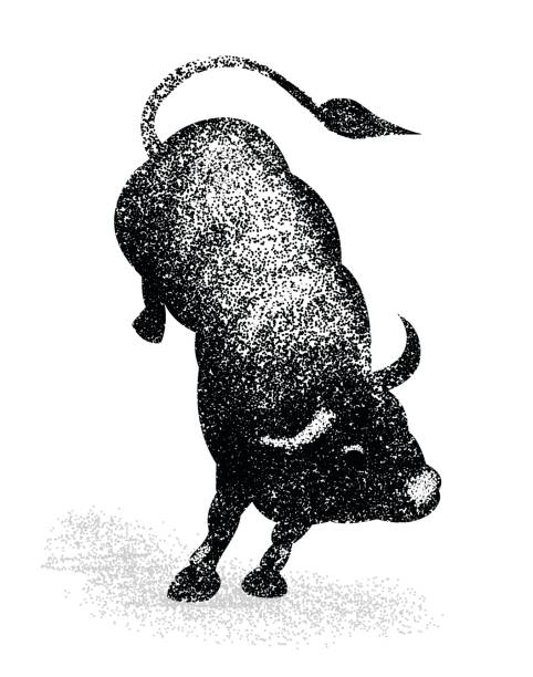 Bull is jumping for attack
