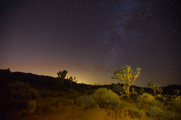 istock Joshua Tree National Park at night 840237406