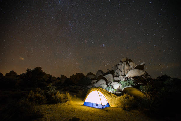 istock Joshua Tree National Park at night 840237656