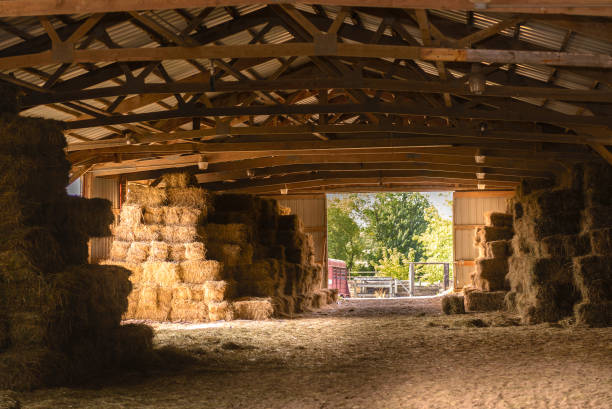 istock Hay barn with morning sun in Wisconsin 840237726
