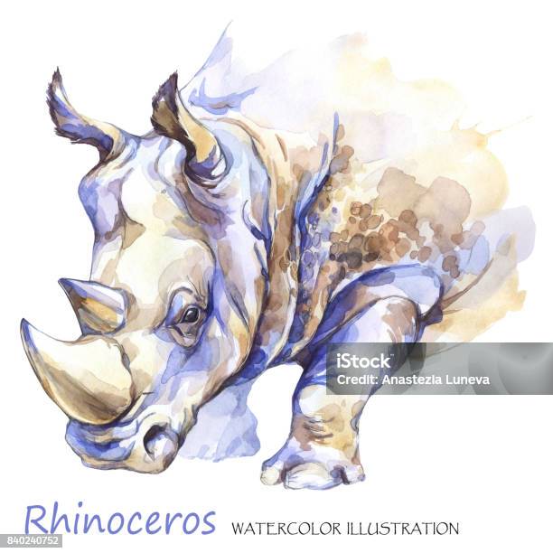 Rhinoceros Aquarelle Sur Fond Blanc Afrique Animal Illustration De La Faune Dart Peut Être Imprimé Sur Des Tshirts Sacs Affiches Invitations Cartes Étuis Pour Téléphone Oreillers Vecteurs libres de droits et plus d'images vectorielles de Rhinocéros