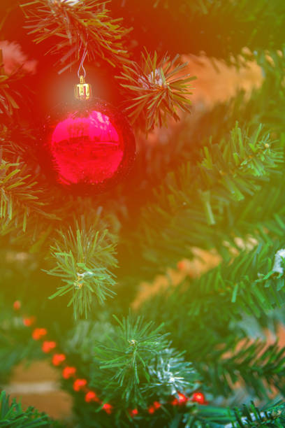 istock Christmas ball on the branches fir. 840241456
