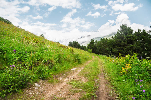 A dirt road running along the mountainside with grass and trees against the background of the mountains of the sky and clouds