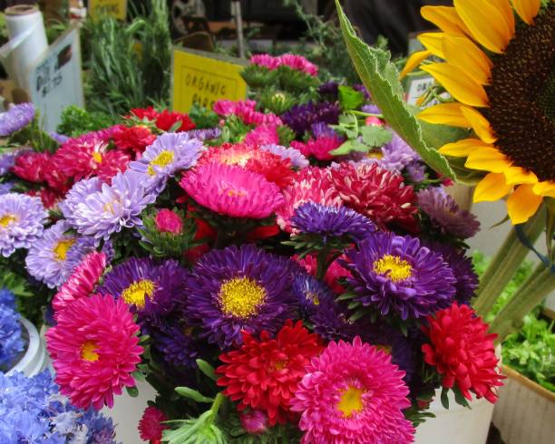 istock Flowers for sale! 840246994