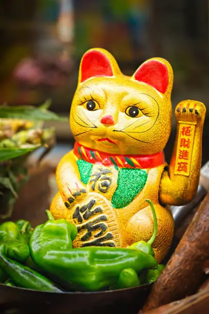 Photo of Chinese golden lucky cat figurine on food street stall, green peppers