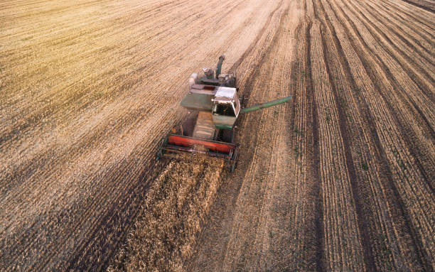 istock Harvester working in field and mows wheat. Ukraine. Aerial view. 840250184