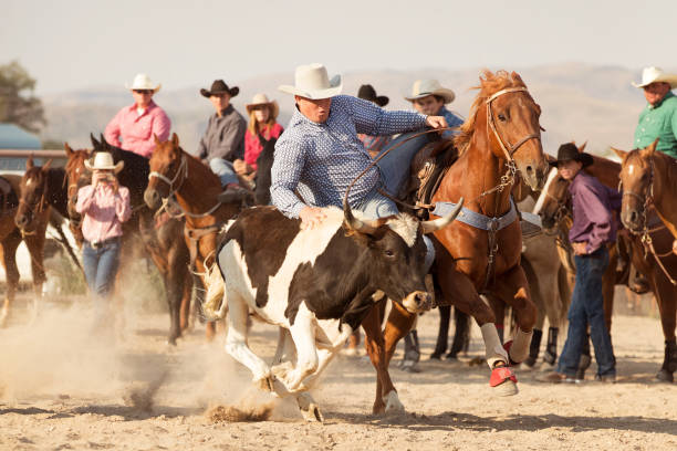istock Cowboy Steer Wrestling At Summer Rodeo 840251938