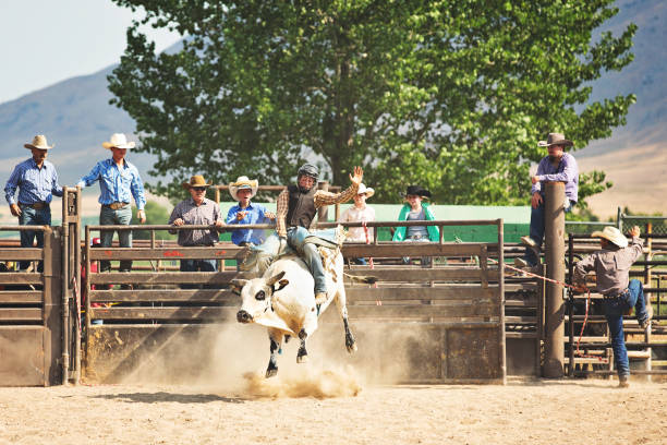 Yucatan, Mexico - August 15, 2012: Mexican Charro Riding a Cow. The \