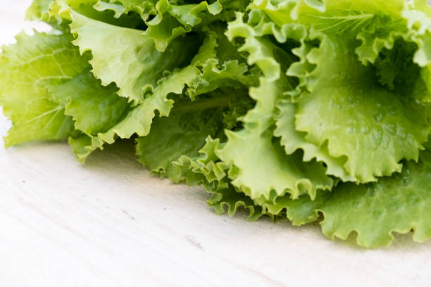 istock Green lettuce leaves. Lettuce leaves on wooden background. Fresh lettuce on kitchen table. Healthy organic food 840257532