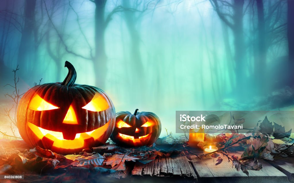 Quema en un bosque misterioso en la noche - fondo Halloween calabazas - Foto de stock de Halloween libre de derechos