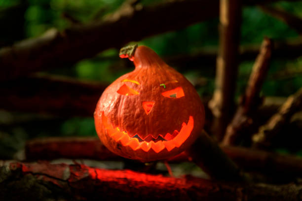 istock lit Jack Lantern from an orange pumpkin in the forest on Halloween. 840264368