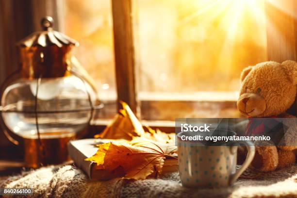 Autumn Still Life A Window Hot Tea Mug Book Stock Photo - Download Image Now - Autumn, Indoors, Home Interior
