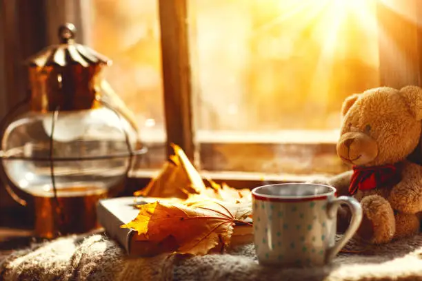 Photo of Autumn still life. A window,  hot tea mug book