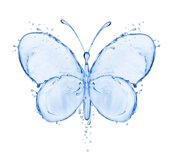 istock Butterfly made of water splashes isolated on white background 840280096