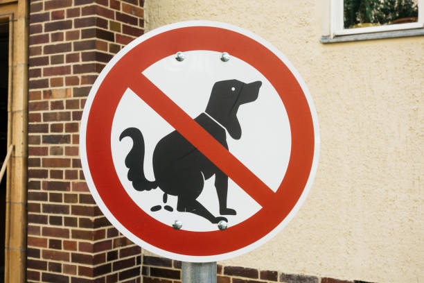 istock dogs forbidden sign with building in the background 840284550