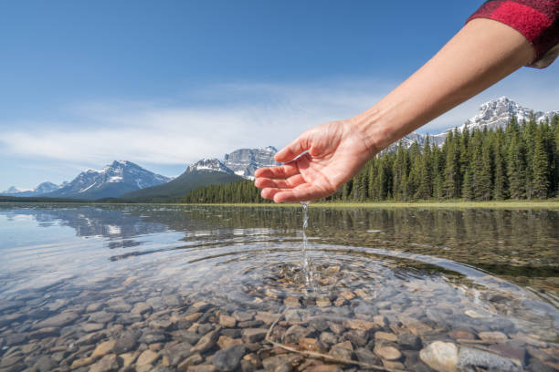 istock Human hand cupped to catch fresh water from mountain lake 840285956