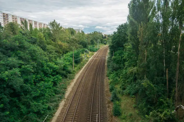 Photo of train rails with green trees on both sides